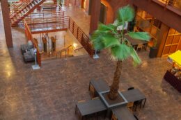 Afrikaweg 52, 2713 HH Zoetermeer