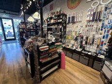 Dorpsstraat 91, 2665 BH Bleiswijk