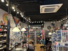 Dorpsstraat 91, 2665 BH Bleiswijk