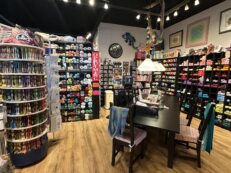 Dorpsstraat 91, 2665 BH Bleiswijk